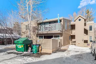 825 E Hopkins Ave, Aspen, CO 81611 - Photo 21