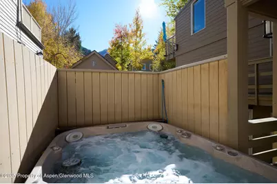825 E Hopkins Avenue #2S, Aspen, CO 81611 - Photo 19