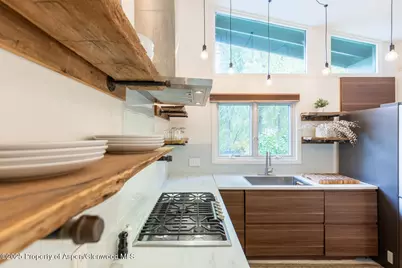 415 Park Circle #5, Aspen, CO 81611 - Photo 5