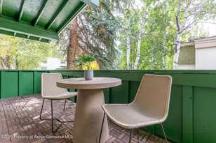 415 Park Cir, Aspen, CO 81611 - Photo 19