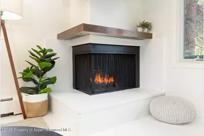 415 Park Circle #5, Aspen, CO 81611 - Photo 7
