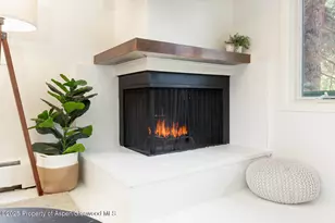 415 Park Cir, Aspen, CO 81611 - Photo 7