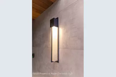 155 Lakeview Drive, Carbondale, CO 81623 - Photo 89