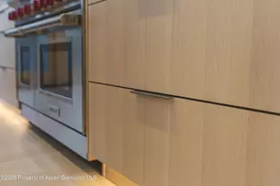 159 Lakeview Dr, Carbondale, CO 81623 - Photo 27