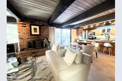 1034 E Cooper Avenue #19, Aspen, CO 81611 - Photo 3