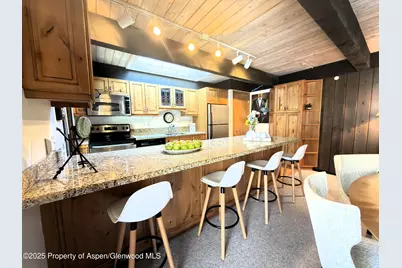 1034 E Cooper Avenue #19, Aspen, CO 81611 - Photo 7