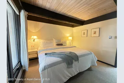 1034 E Cooper Avenue #19, Aspen, CO 81611 - Photo 13