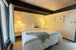 1034 E Cooper Ave, Aspen, CO 81611 - Photo 13