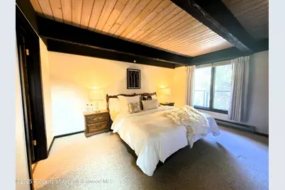 1034 E Cooper Avenue #19, Aspen, CO 81611 - Photo 11