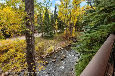 1034 E Cooper Avenue #19, Aspen, CO 81611 - Photo 19