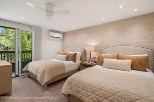 610 S West End St, Aspen, CO 81611 - Photo 15