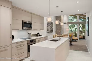 610 S West End St, Aspen, CO 81611 - Photo 1