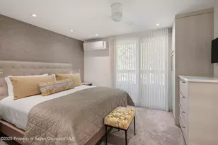 610 S West End St, Aspen, CO 81611 - Photo 13