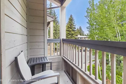 610 S West End Street #A304, Aspen, CO 81611 - Photo 11