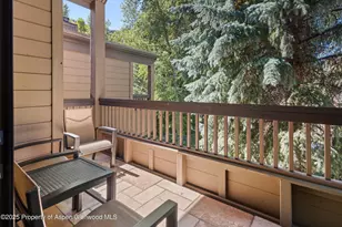 610 S West End St, Aspen, CO 81611 - Photo 11