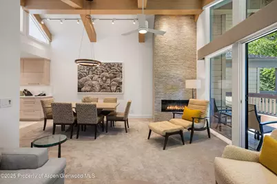 610 S West End Street #A304, Aspen, CO 81611 - Photo 7