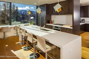 979 Red Mountain Rd, Aspen, CO 81611 - Photo 3