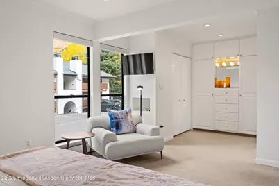 980 E Hyman Avenue #3, Aspen, CO 81611 - Photo 19