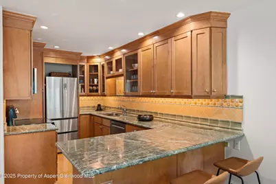 980 E Hyman Avenue #3, Aspen, CO 81611 - Photo 13