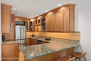 980 E Hyman Ave, Aspen, CO 81611 - Photo 13