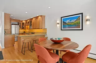 980 E Hyman Ave, Aspen, CO 81611 - Photo 9