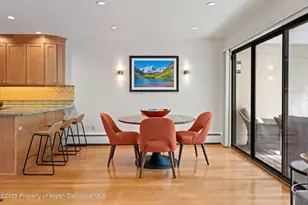 980 E Hyman Ave, Aspen, CO 81611 - Photo 7