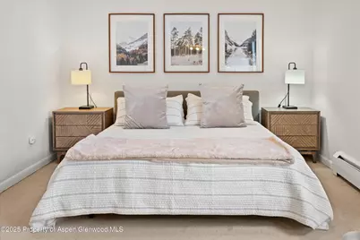980 E Hyman Avenue #3, Aspen, CO 81611 - Photo 17