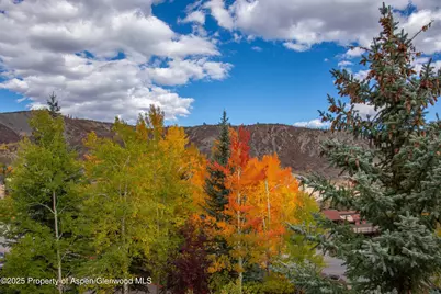 425 Wood Road #10, Snowmass Village, CO 81615 - Photo 21