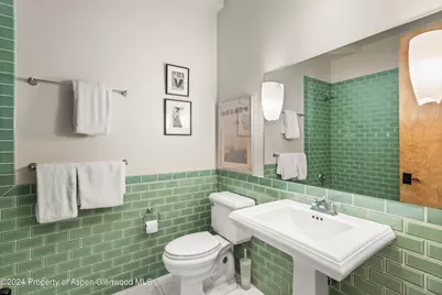 308 Park Avenue, Aspen, CO 81611 - Photo 15