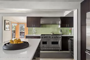 1038 Owl Creek Rd, Aspen, CO 81611 - Photo 13