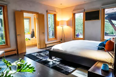 1038 Owl Creek Road, Aspen, CO 81611 - Photo 11