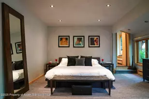 1038 Owl Creek Rd, Aspen, CO 81611 - Photo 9