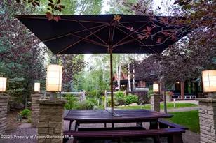 1038 Owl Creek Rd, Aspen, CO 81611 - Photo 37