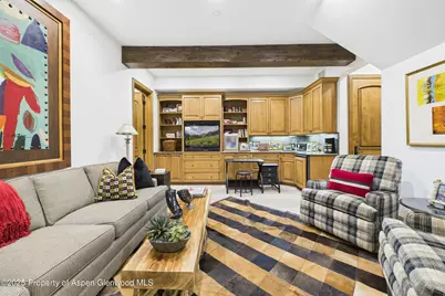 914 E Cooper Avenue, Aspen, CO 81611 - Photo 25
