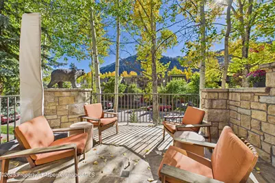 914 E Cooper Avenue, Aspen, CO 81611 - Photo 15