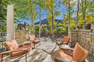 914 E Cooper Ave, Aspen, CO 81611 - Photo 15