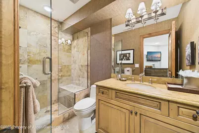 914 E Cooper Avenue, Aspen, CO 81611 - Photo 29