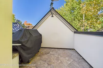 914 E Cooper Avenue, Aspen, CO 81611 - Photo 23