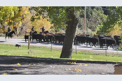 3211 County Road 237, Silt, CO 81652 - Photo 55