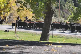 3211 Co Rd 237, Silt, CO 81652 - Photo 55