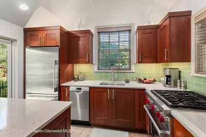 117 Neale Avenue, Aspen, CO 81611 - Photo 7