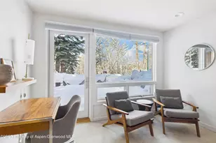 117 Neale Ave, Aspen, CO 81611 - Photo 9