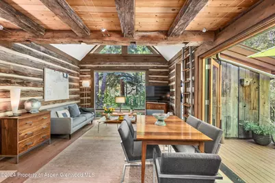 117 Neale Avenue, Aspen, CO 81611 - Photo 3