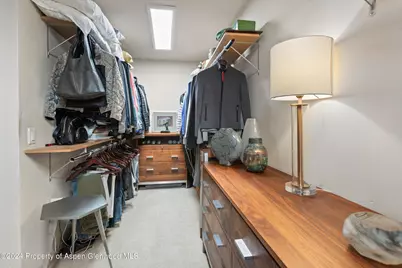 117 Neale Avenue, Aspen, CO 81611 - Photo 11