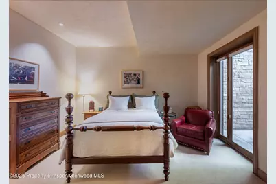 316 West End Street, Aspen, CO 81611 - Photo 15