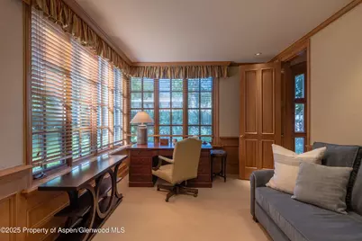 316 West End Street, Aspen, CO 81611 - Photo 13