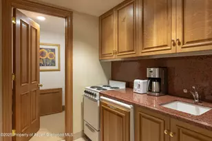 316 West End St, Aspen, CO 81611 - Photo 21