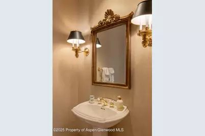 316 West End Street, Aspen, CO 81611 - Photo 11