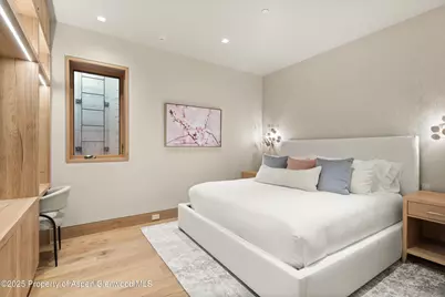 543 Walnut Street #B, Aspen, CO 81611 - Photo 19