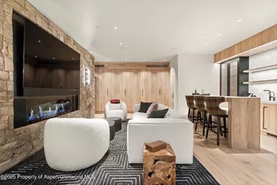 543 Walnut Street #B, Aspen, CO 81611 - Photo 9